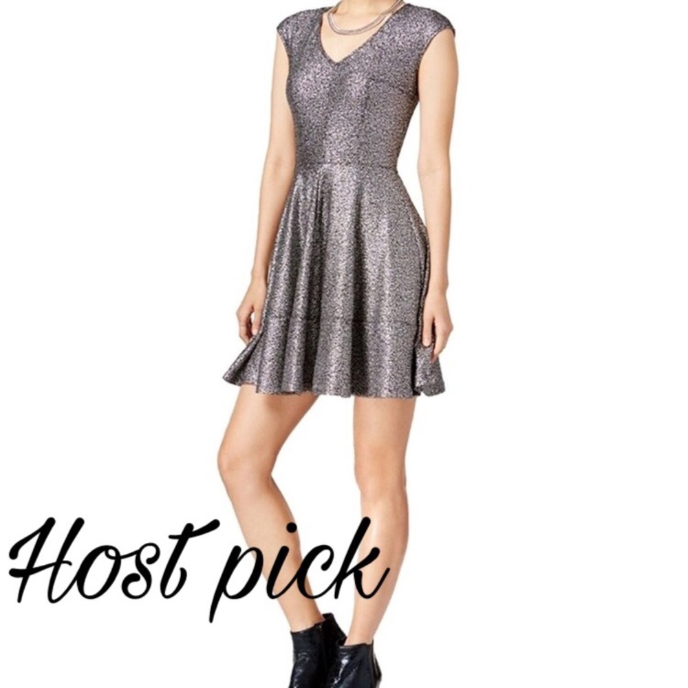 BAR III - 8/2 🎉HP🎉 Fit & Flair shimmer Dress L